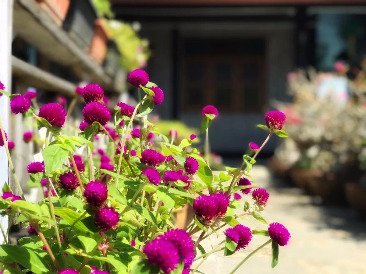 게스트하우스 Mangrove House Lanta Old Town 호텔 란타섬